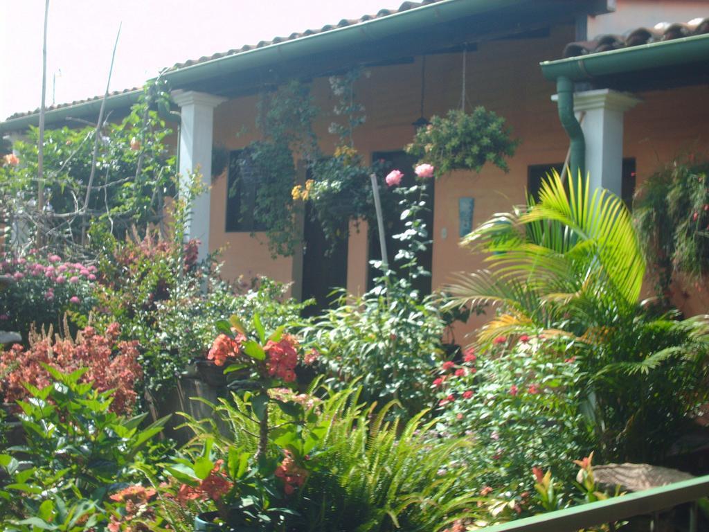 Hotel Villa Santo Domingo Concepcion de Ataco Luaran gambar